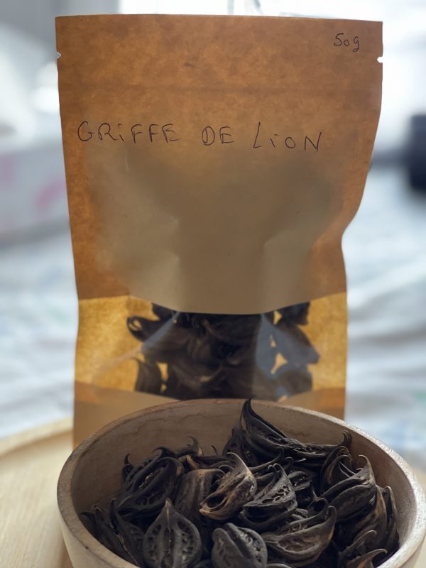 La Bicorne (Griffe du Lion) – Plante bien-être féminine et purificatrice 50g